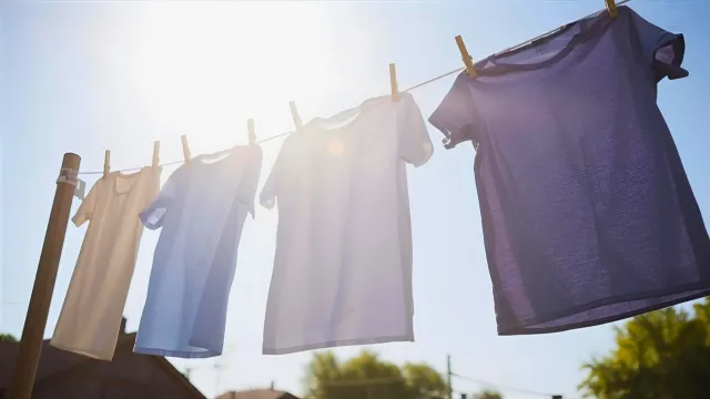Dry T-Shirts