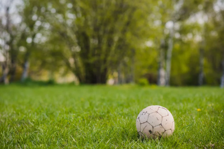 what is a good soccer ball​-5